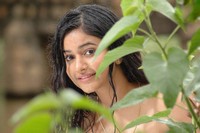 Poonam Bajwa Hot Pics